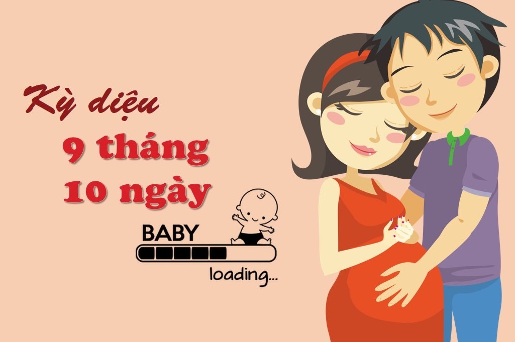 Hành trình mang thai